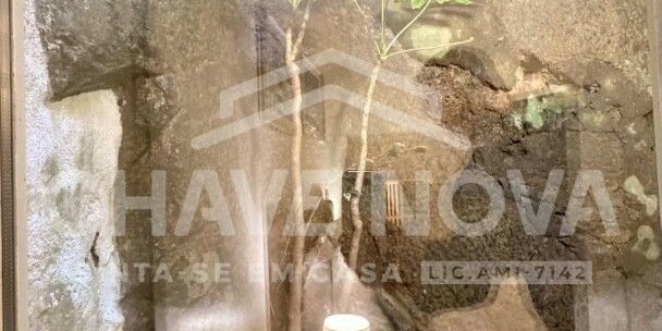 Apartamento T1 Porto GN/02330